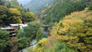 かづら橋が架かる渓谷