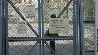 緑の公園とキャッチボール場 By Tottoko7777 西池袋公園のクチコミ フォートラベル 緑の公園とキャッチボール場 By Tottoko7777 西池袋公園のクチコミ フォートラベル