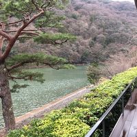 茶寮八翠からの桂川2