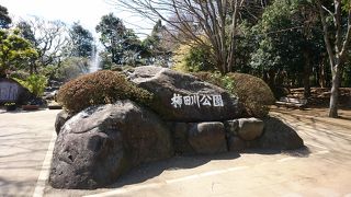 湧水の美しさに感動