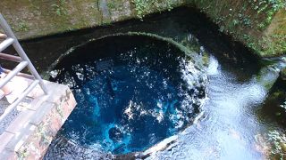 水遊びができる