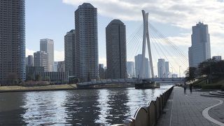 シルエットが綺麗