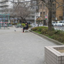 錦糸堀公園の様子です。錦糸堀公園内は、普通の公園と同じです。