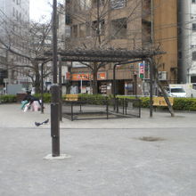 錦糸堀公園の広場の一角には、藤棚があり、ベンチもあります。