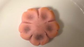 春らしいお菓子でした