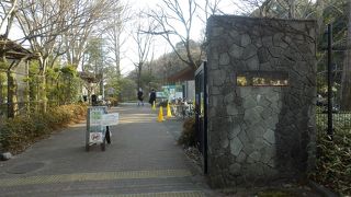 深大寺すぐそばの入場無料の植物園