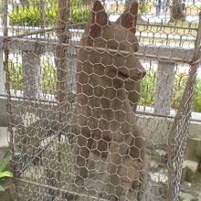 なぜか解りませんが、金網で囲われている千種稲荷神社の狐像です