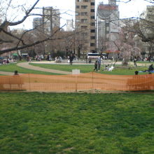 錦糸公園の中にある運動場です。陸上競技の各種施設があります。