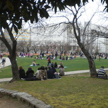 錦糸公園で、家族連れが、休日の憩いのひと時を楽しんでいます。