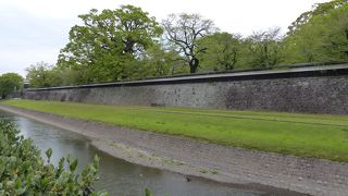 白と黒のコントラストが美しい