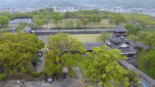 熊本城を中心とした公園
