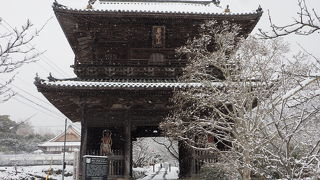 八十八か所霊場で一番立派な仁王門のあるお寺