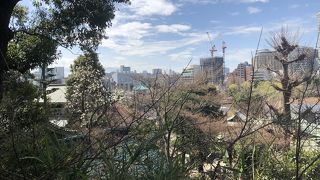 桜を愛でながら桜御膳スペシャル