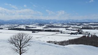 遠くまで広がる十勝平野と日高の山並みを望む