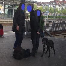 駅には愛犬も一緒です