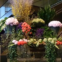 ロビー前のお花