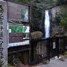 ハイコモチシダ 発見の地