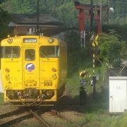 鬼の洗濯岩を望む風光明媚な路線、片道は宮崎交通バスもおすすめ