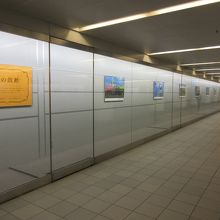東京駅丸の内側と皇居側地下通路に見ごたえのある写真を展示