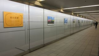 プロカメラマンの写真を展示