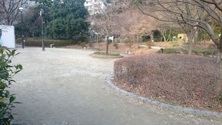 かつての紀州藩屋敷