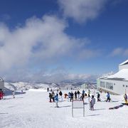 広さと雪質の良さを実感