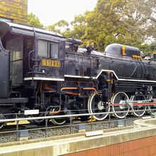 斜め後ろからでも全体は無理…