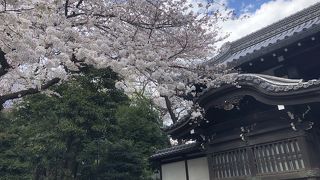 開門は土日祝日のみ