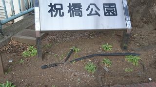 高速道路上の静かな公園