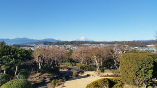 展望台からの眺めで心新たに。