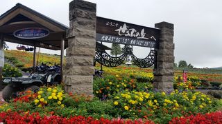 花の時期なら綺麗でしょう