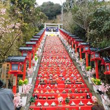 神社の階段にずらりとならぶお雛様。