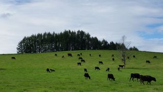 ゆっくり見たかった
