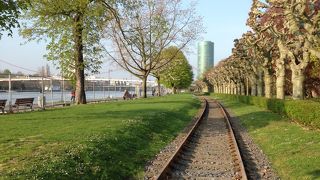 マイン川沿いの通り