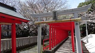 伏見稲荷のような赤い鳥居