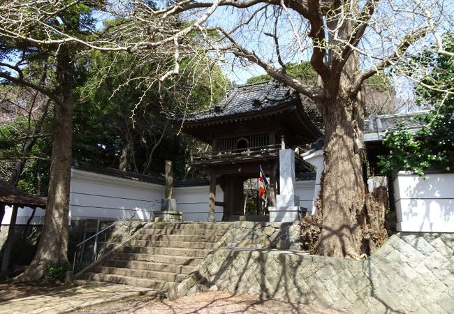 立派なお寺