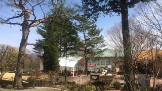 試食コーナーあり