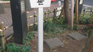 銀座の象徴　柳の木