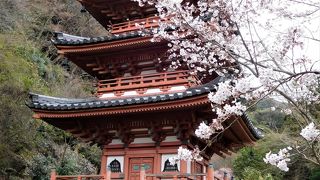 三重塔や境内には桜の木もありました。