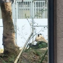 ママはランチタイム