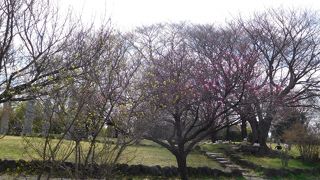 小高い丘のある見晴らしの良い公園