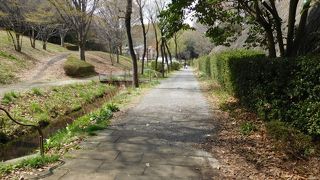 公園を結ぶ綺麗に整備された緑道