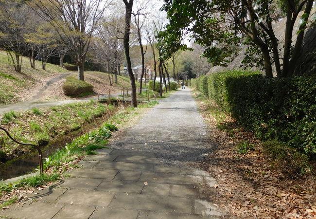 公園を結ぶ綺麗に整備された緑道