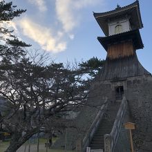 桜はもう少し先