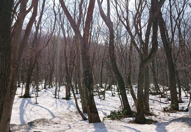 蔵王らしい自然公園