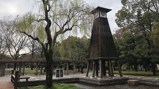 柳の芽も芽吹き