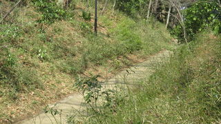 誰も通っていません。