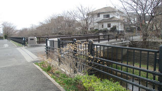 川辺はお散歩に向いています。