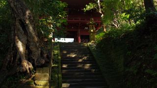 苔の道を登って