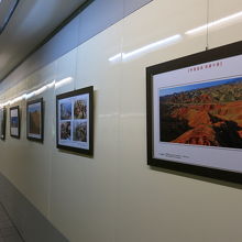 台湾の観光名所の写真が通路に展示